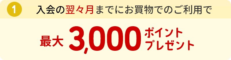 ①入会の翌々月までにお買物でのご利用で最大3,000ポイントプレゼント