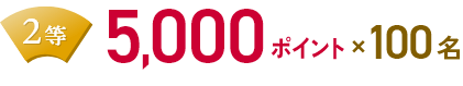2等 5,000ポイント×100名