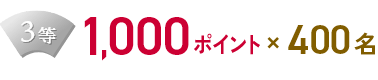 3等 1,000ポイント×400名