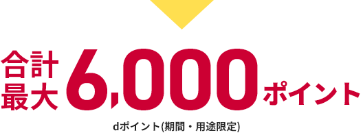 合計最大6,000ポイント　dポイント（期間・用途限定）