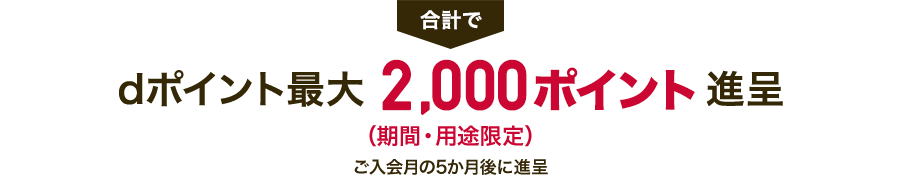 dポイント最大2,000ポイント進呈