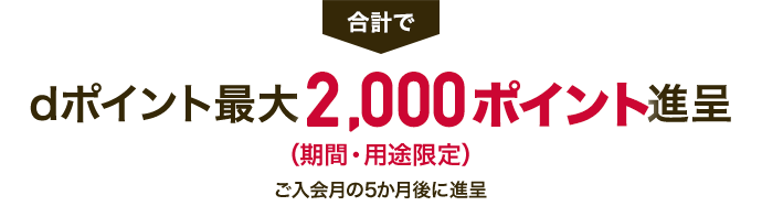 dポイント最大2,000ポイント進呈