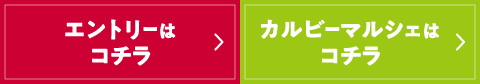 クーポンGETはコチラ