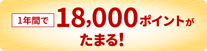 1年間で18,000ポイントがたまる！