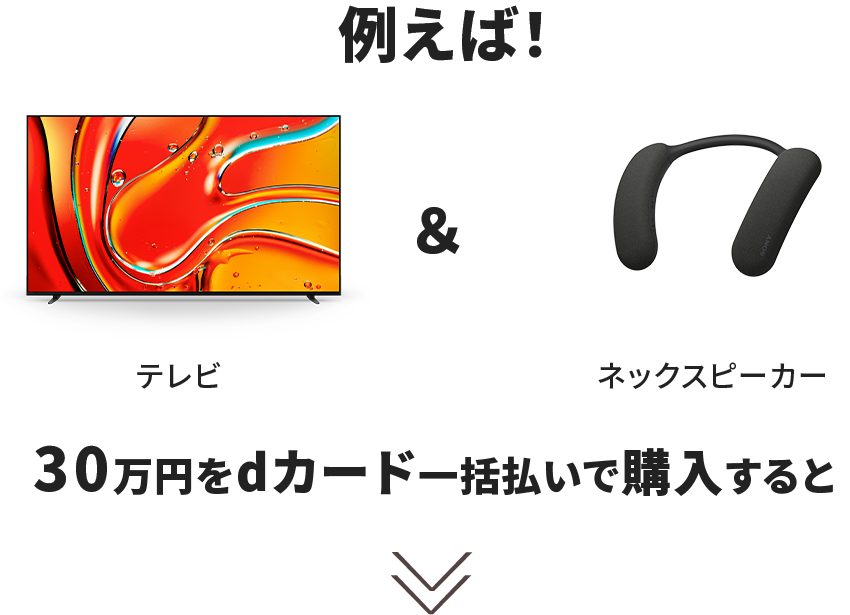 例えばテレビ & ネックスピーカー 30万円をdカード一括払いで購入すると