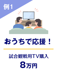 例1 おうちで応援！ 試合観戦用TV購入 8万円