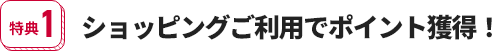 特典1 ショッピングご利用でポイント獲得！