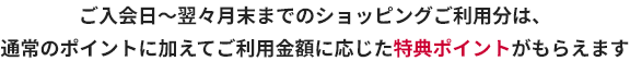 ご入会日～翌々月末までのショッピングご利用分は、通常のポイントに加えてご利用金額に応じた特典ポイントがもらえます