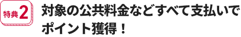 特典2 対象の公共料金などすべて支払いでポイント獲得！