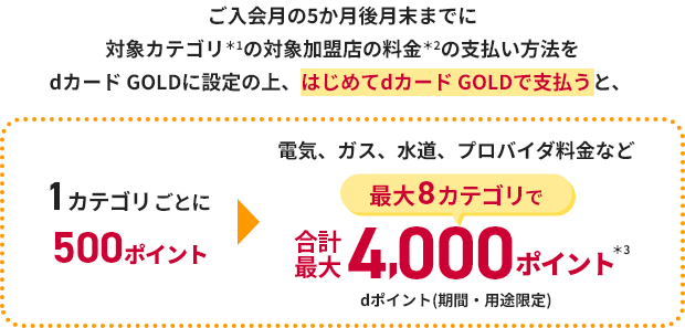 ご入会月の5か月後月末までに対象カテゴリ＊1の対象加盟店の料金＊2の支払い方法をdカード GOLDに設定の上、はじめてdカード GOLDで支払うと、1カテゴリごとに500ポイント 電気、ガス、水道、プロバイダ料金など最大8カテゴリで合計最大4,000ポイント＊3 dポイント(期間・用途限定)