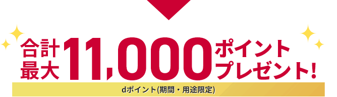 合計最大11,000ポイントプレゼント！ dポイント(期間・用途限定)