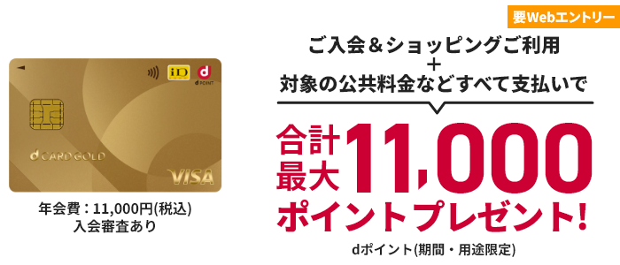 年会費：11,000円(税込) 入会審査あり 要Webエントリー ご入会＆ショッピングご利用＋対象の公共料金などすべて支払いで合計最大11,000ポイントプレゼント！ dポイント（期間・用途限定）