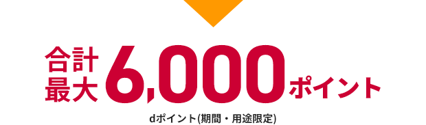 合計最大6,000ポイント dポイント(期間・用途限定)