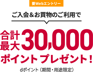 要Webエントリー ご入会＆お買物ご利用で 合計最大30,000ポイントプレゼント！ dポイント（期間・用途限定）