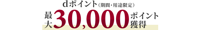 dポイント(期間・用途限定)最大30,000ポイント獲得