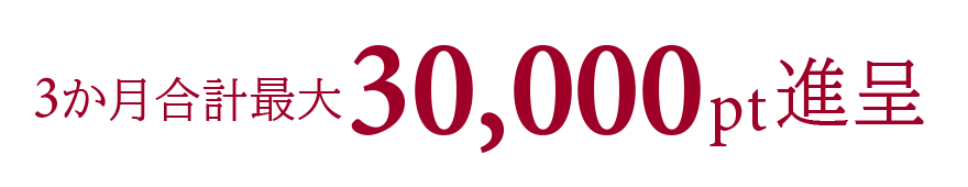 3か月合計最大30,000pt進呈
