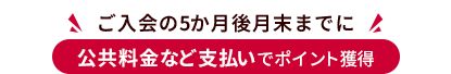 ご入会の5か月後月末までに 公共料金など支払いでポイント獲得