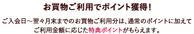 お買物ご利用でポイント獲得！ ご入会日～翌々月末までのショッピングご利用分は、通常のポイントに加えてご利用金額に応じた特典ポイントがもらえます。