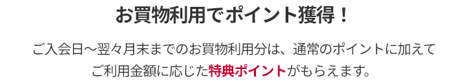 ショッピングご利用でポイント獲得！ ご入会日～翌々月末までのショッピングご利用分は、通常のポイントに加えてご利用金額に応じた特典ポイントがもらえます。