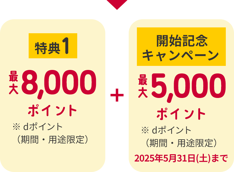 特典1 8,000ポイント※dポイント（期間・用途限定）+開始記念キャンペーン5,000ポイント※dポイント（期間・用途限定）2025年5月31日(土)まで