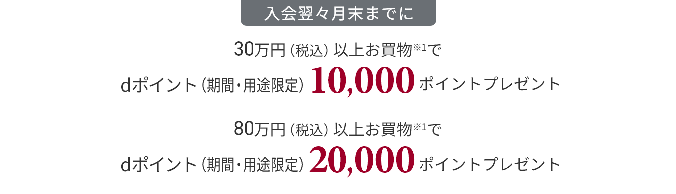 入会翌々月末までに30万円（税込）以上お買物※1でdポイント(期間・用途限定)10,000ポイントプレゼント 80万円（税込）以上お買物※1でdポイント(期間・用途限定)20,000ポイントプレゼント