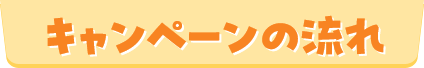 キャンペーンの流れ