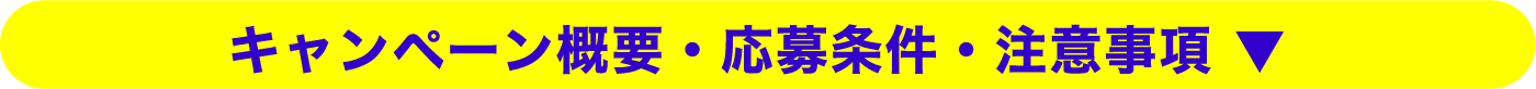 キャンペーン概要・応募条件・注意事項