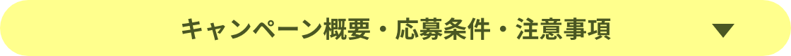 キャンペーン概要・応募条件・注意事項
