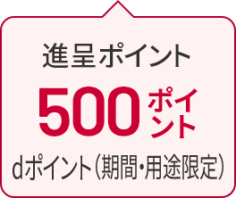進呈ポイント 500ポイント dポイント（期間・用途限定）