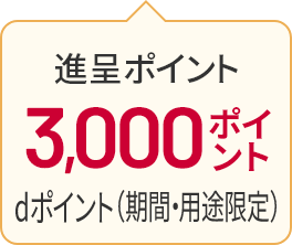 進呈ポイント 3,000ポイント dポイント（期間・用途限定）
