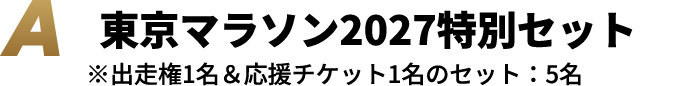 A 東京マラソン2027特別セット ※出走権1名＆応援チケット1名のセット：5名