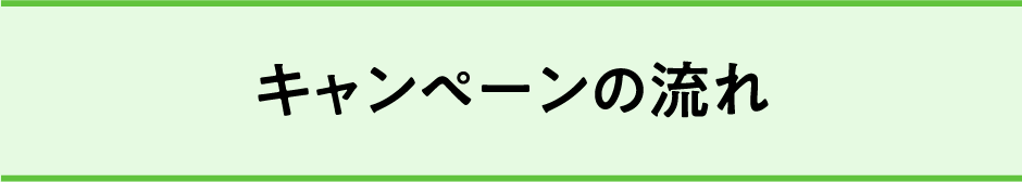 キャンペーンの流れ