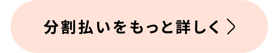 分割払いをもっと詳しく