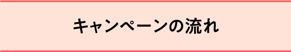 キャンペーンの流れ