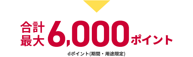 合計最大6,000ポイントdポイント(期間・用途限定)