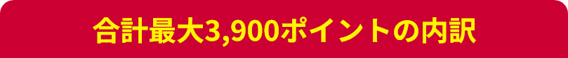 合計最大3,900ポイントの内訳