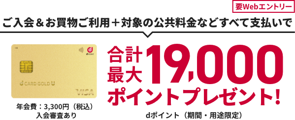 要Webエントリー ご入会＆お買物ご利用＋対象の公共料金などすべて支払いで合計最大19.000ポイントプレゼント！dポイント（期間・用途限定） 年会費：3,300円（税込） 入会審査あり