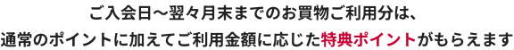 ご入会日～翌々月末までのお買物ご利用分は、通常のポイントに加えてご利用金額に応じた特典ポイントがもらえます