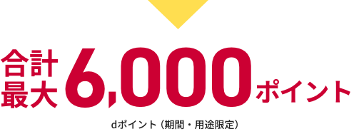 合計最大6,000ポイント dポイント（期間・用途限定）