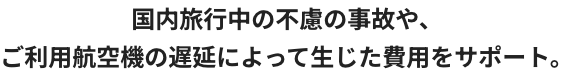 国内旅行中の不慮の事故や、ご利用航空機の遅延によって生じた費用をサポート。