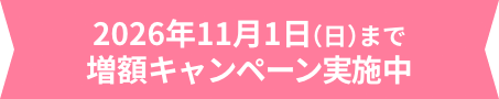 2026年11月1日（日）まで増額キャンペーン実施中