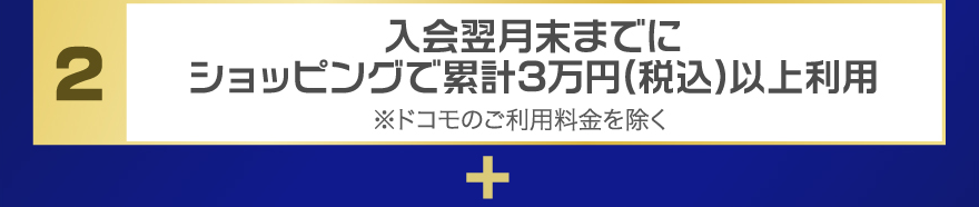 入会翌月末までにショッピングで累計3万円(税込)以上利用