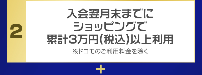 入会翌月末までにショッピングで累計3万円(税込)以上利用