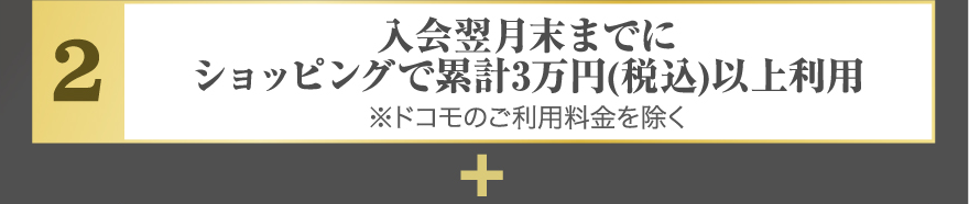 入会翌月末までにショッピングで累計3万円(税込)以上利用